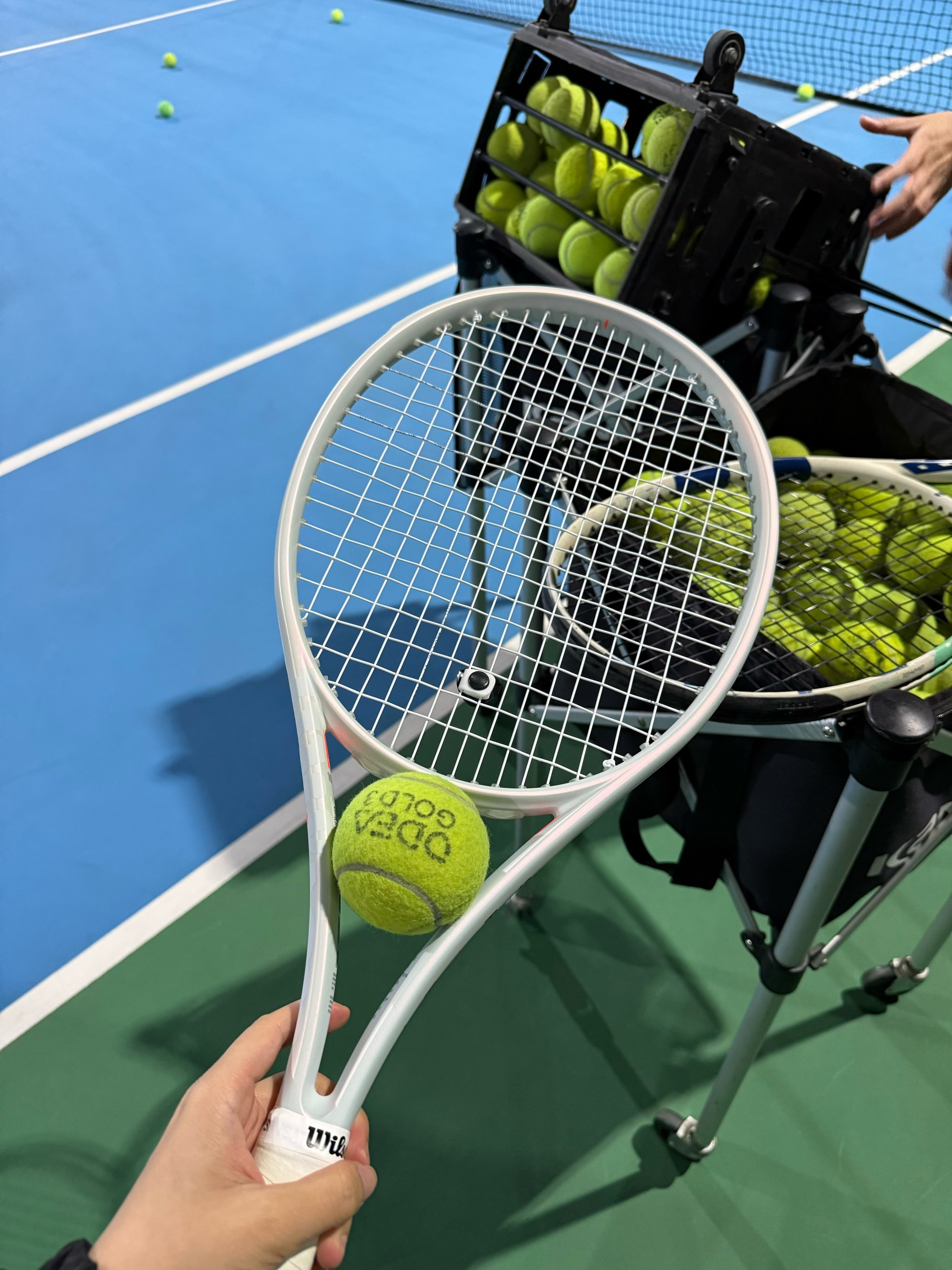 这些新秀选 这些新秀选